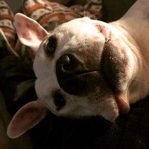 Meet your Posher, Jesse